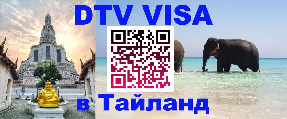 Сколько стоит DTV виза — актуальные цены, оформление даже без документов - Ульяновск  06.12.2025 